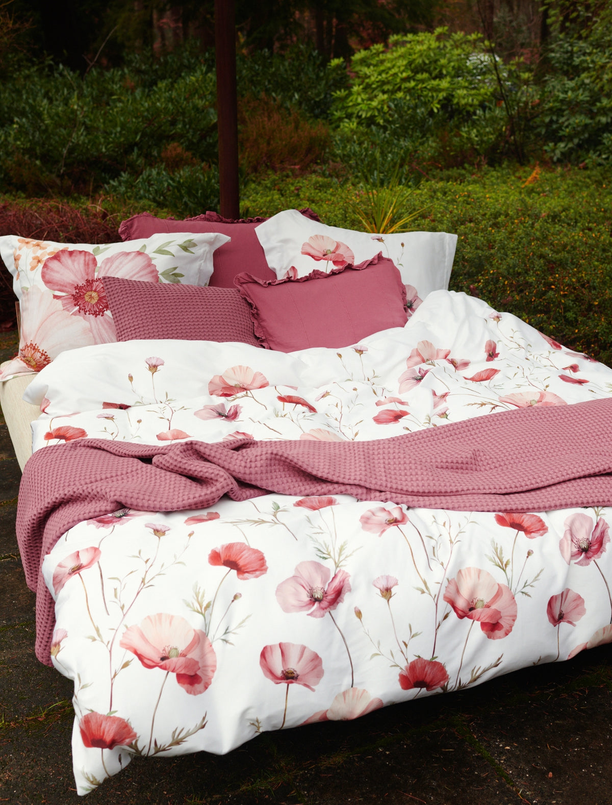 HOME PIQUE | wild rose